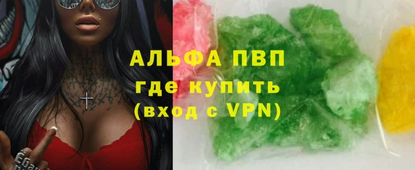 гидра Михайловск