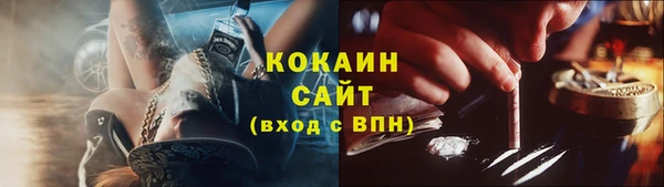 гидра Михайловск