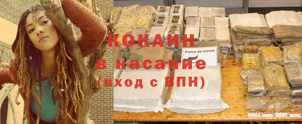 гидра Михайловск