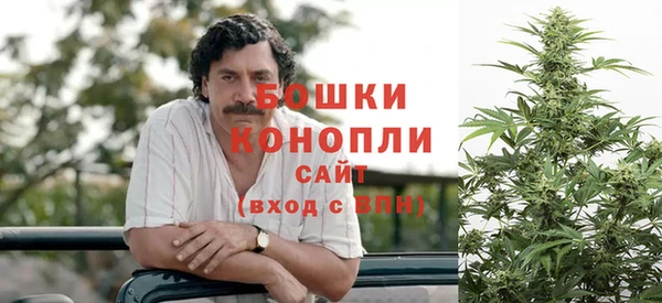 PSILOCYBIN Михайловка