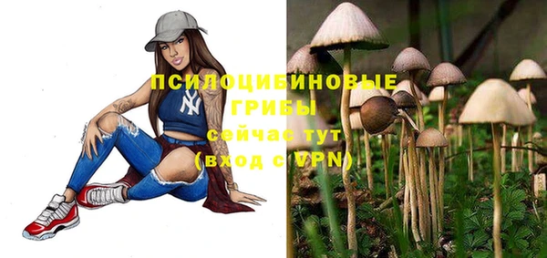 PSILOCYBIN Михайловка