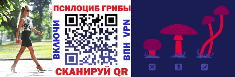 Галлюциногенные грибы мухоморы  Купить где  Каргат 